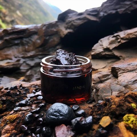 The Ultimate Guide to Shilajit: Nature’s Most Powerful Superfood